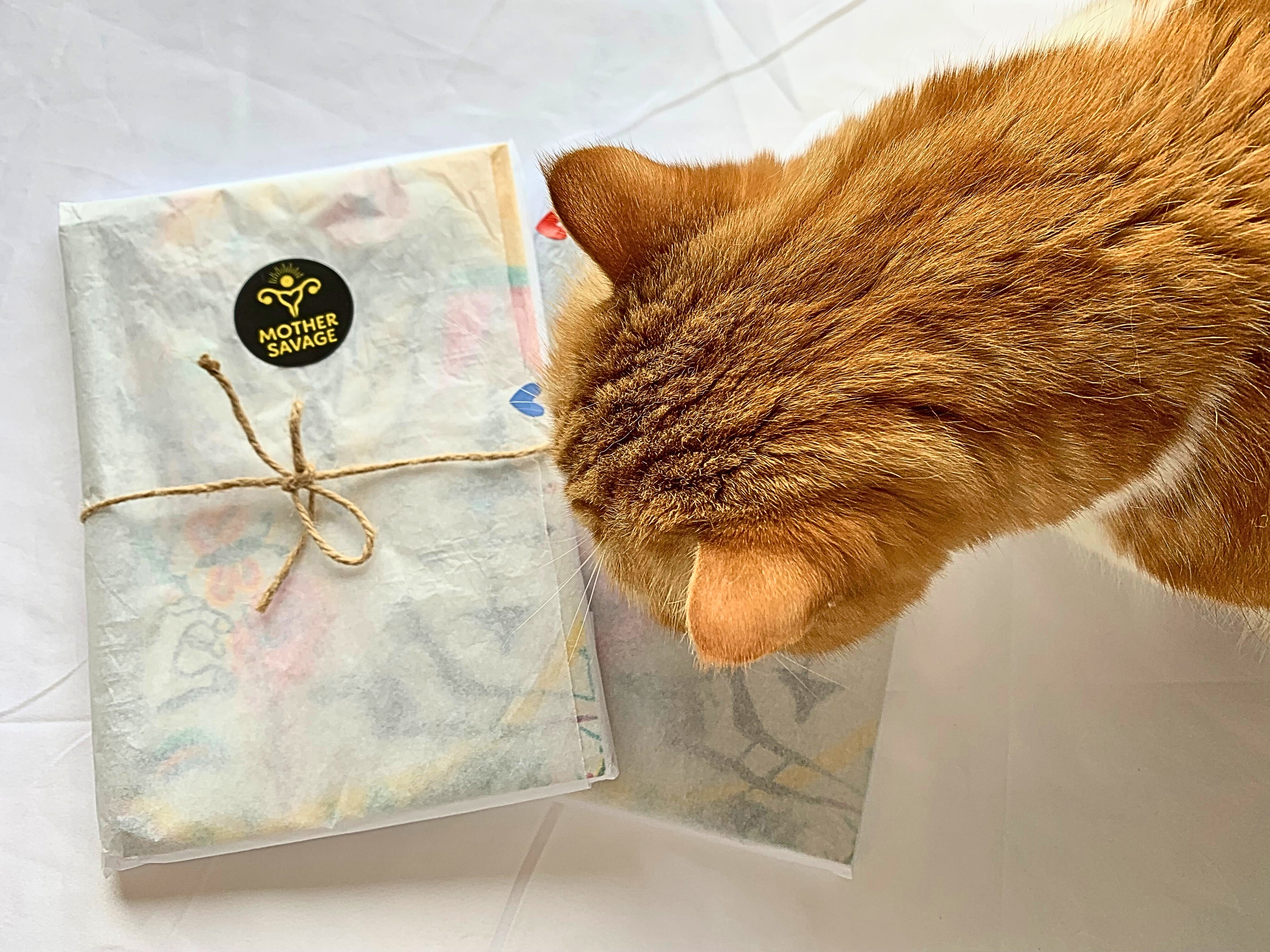 Ventre de Serpent - Carnet Artistique A5 - Made in France